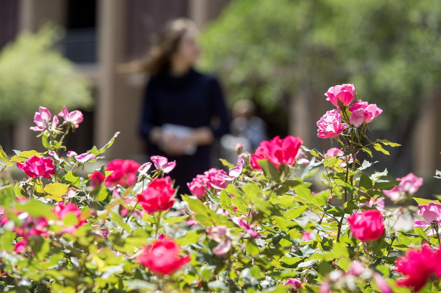 University of Dallas Irving campus